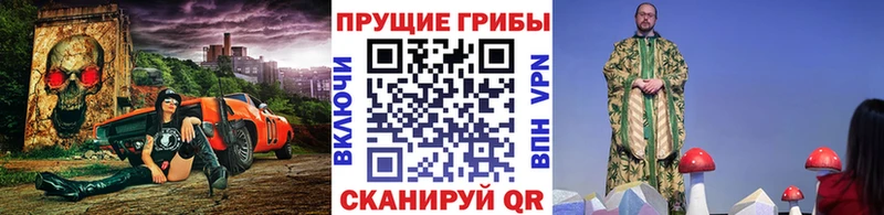 Галлюциногенные грибы Psilocybine cubensis  Купить  Новое Девяткино 